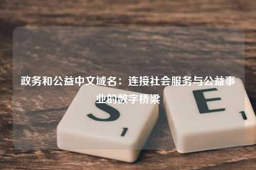 政务和公益中文域名：连接社会服务与公益事业的数字桥梁