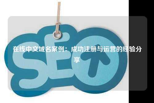 在线中文域名案例：成功注册与运营的经验分享