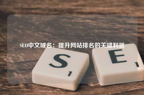 SEO中文域名：提升网站排名的关键利器