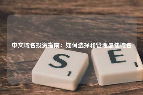 中文域名投资指南：如何选择和管理最佳域名