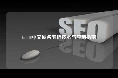 bind9中文域名解析技术与应用指南